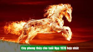 Cây phong thủy cho tuổi Ngọ 1978